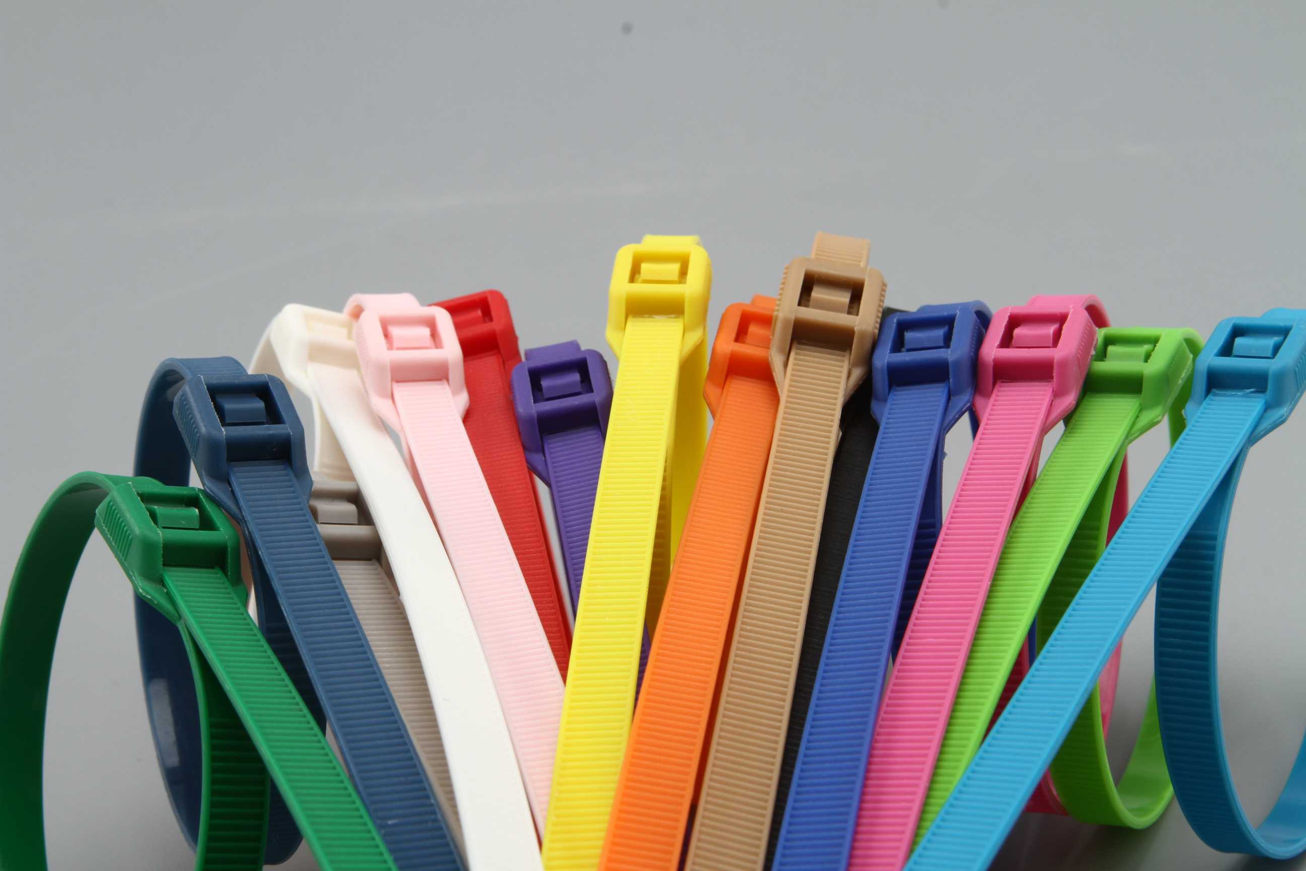 Chống tháo rời (niêm phong chì) cà vạt cáp nylon